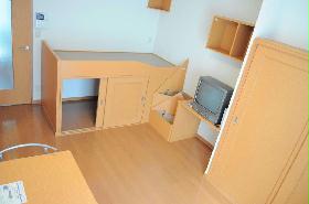 Living and room. Under the bed has become the storage!