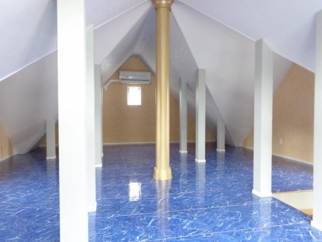 Other introspection. Ceiling space