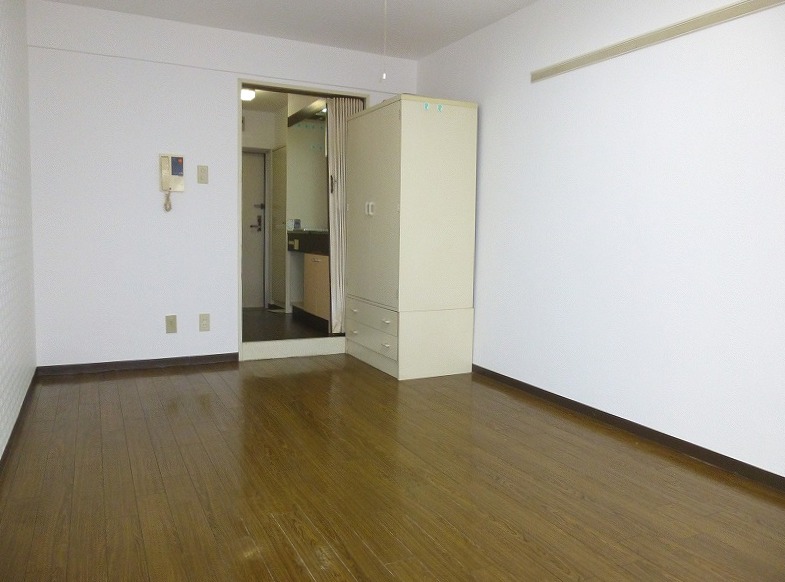 Living and room. Other room