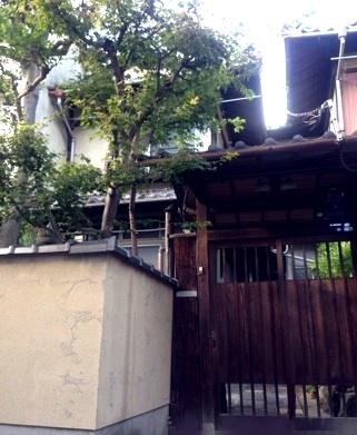 Local appearance photo. 2013 October shooting