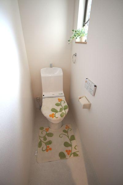 Toilet. WC (11 May 2013) Shooting