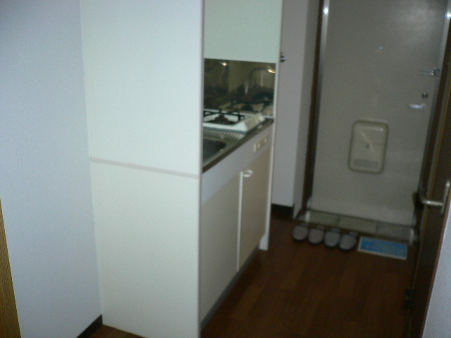 Entrance. Another room