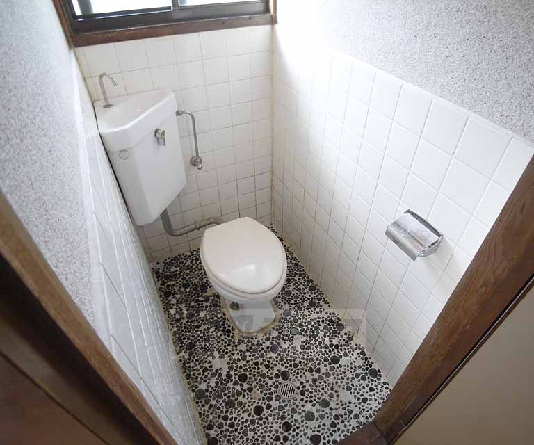 Toilet. Western-style toilet.