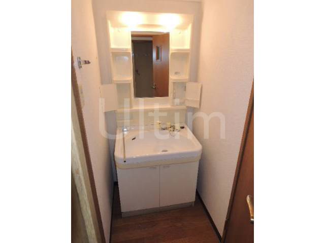 Washroom. Shampoo dresser