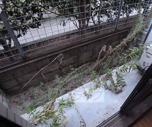 Balcony. 1F is a veranda.