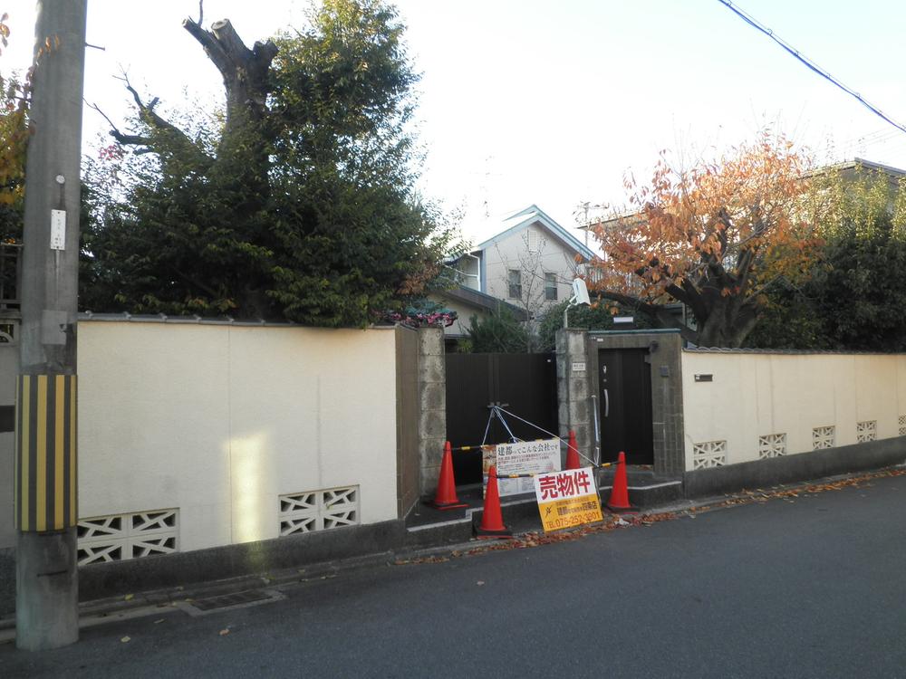 Local land photo. Dismantling passes