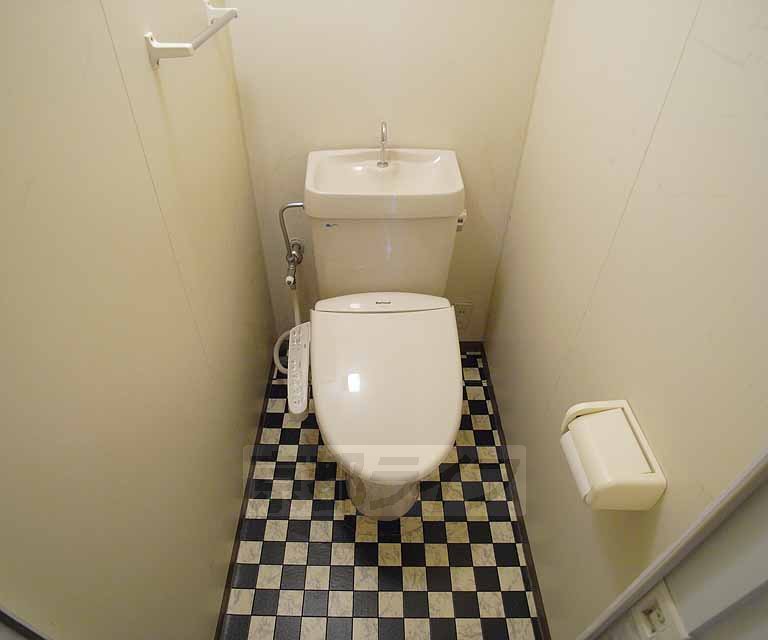 Toilet. It has become a fashionable toilet