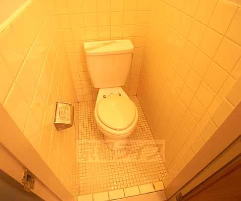 Toilet. Toilet tiled.