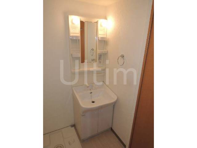 Washroom. Shampoo dresser