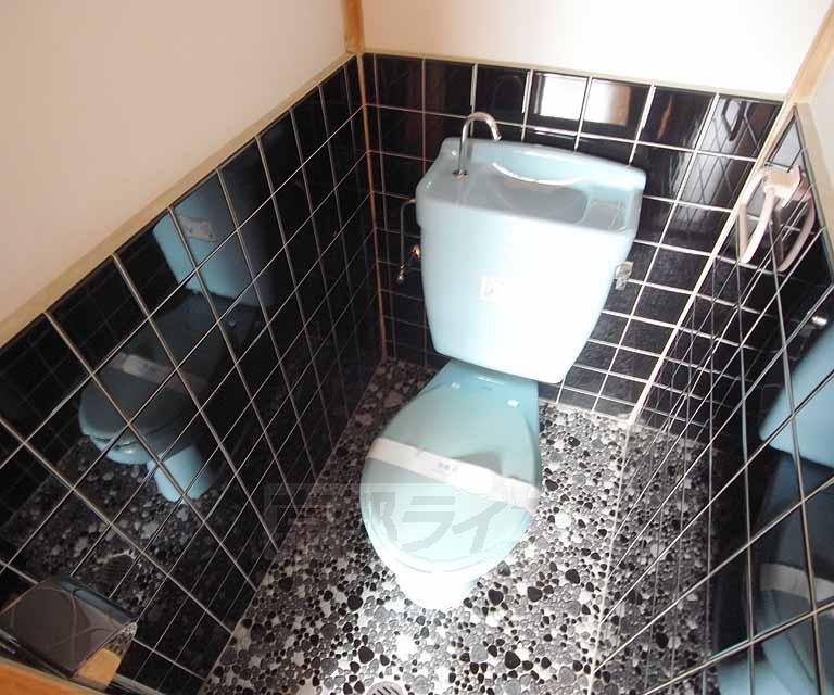 Toilet. Spacious toilet