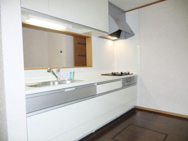 Kitchen. Popular system kitchen in the same specification mom