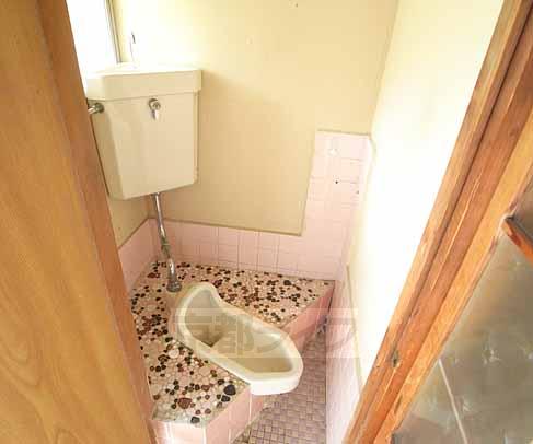 Toilet. Toilets are squat.