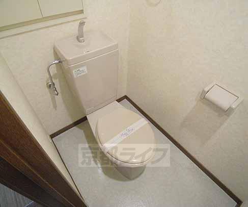 Toilet. Spacious space, Toilet!