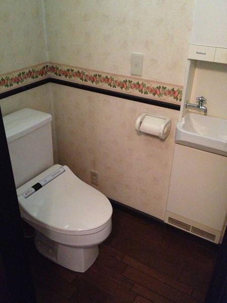 Toilet. Room (August 2013) Shooting