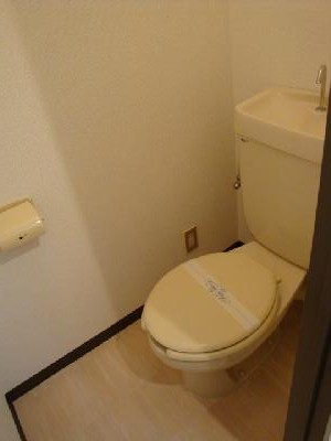 Toilet. Toilet