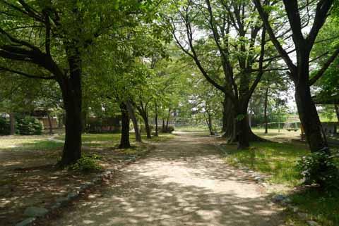 Junior high school. Rakusui until junior high school 1566m