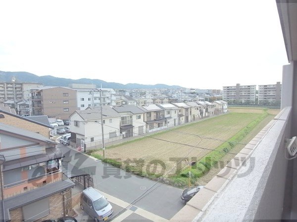 View. View of the veranda