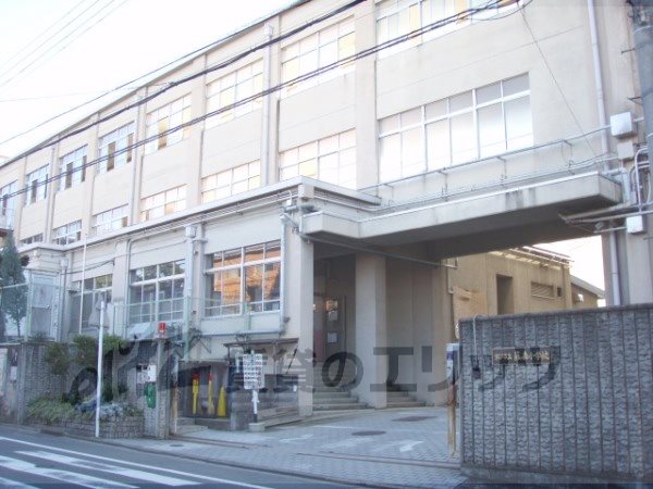 Primary school. Fujimori to elementary school (elementary school) 650m