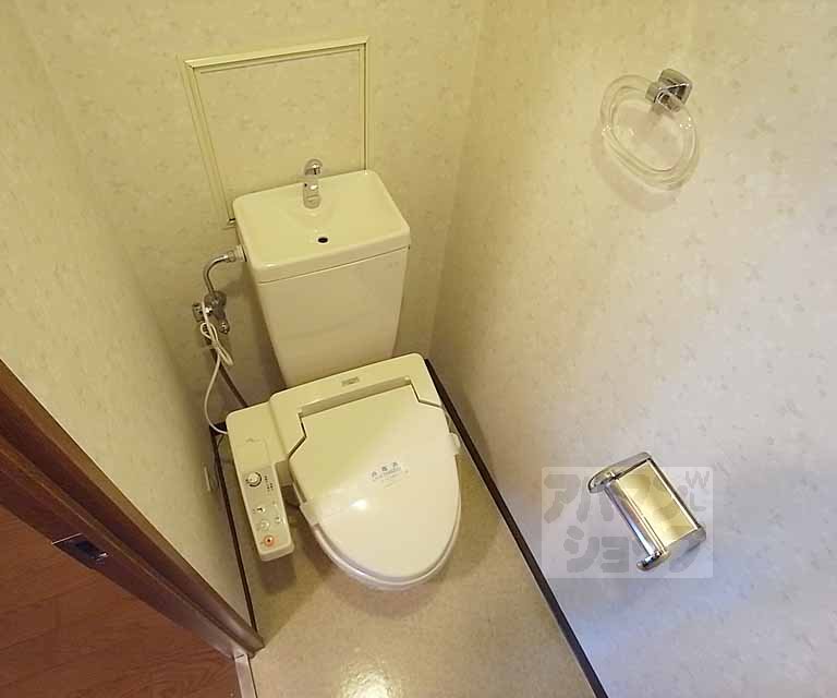 Toilet. Washlet toilet.