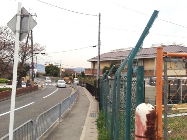 Local photos, including front road