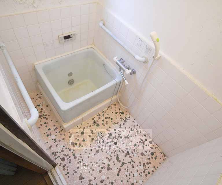 Bath. Rest assured there is also a handrail.