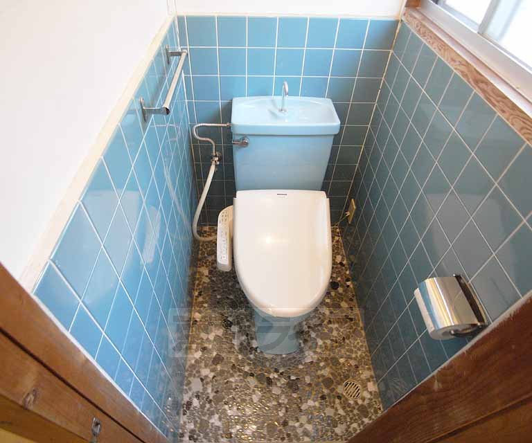 Toilet. It is a Western-style toilet.