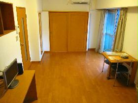 Living and room. Is the B type of the room.