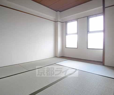 Living and room. The window also big sunny!