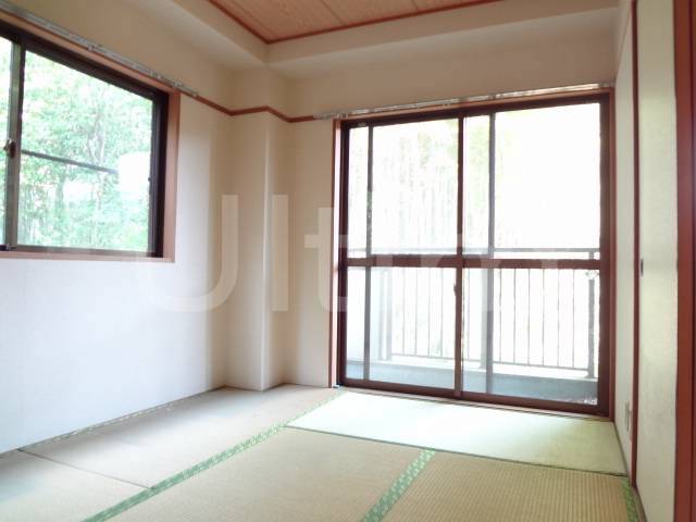 Living and room. Interior