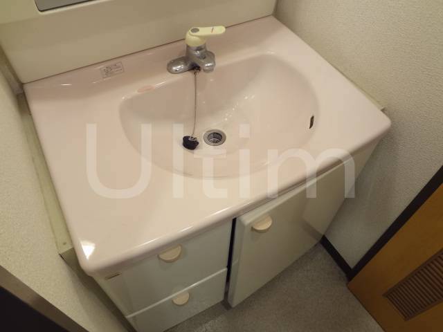 Washroom. Wash basin