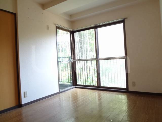 Living and room. Interior