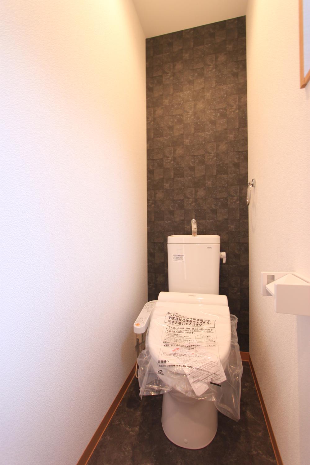 Toilet. Accent color of the wall is characteristic toilet space.