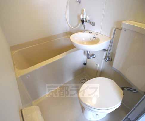 Bath. Cleaning Easy unit bus