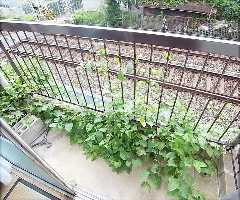 Balcony. It is a veranda.