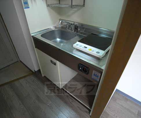 Kitchen. Electrification type of kitchen.