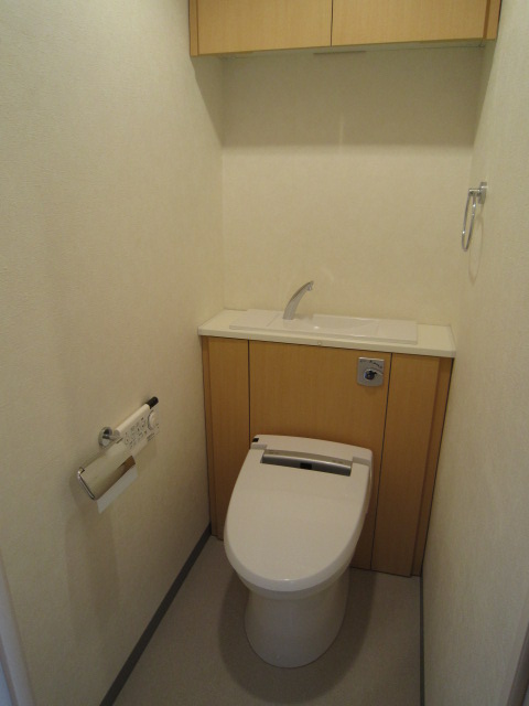 Toilet. Toilet with cleanliness