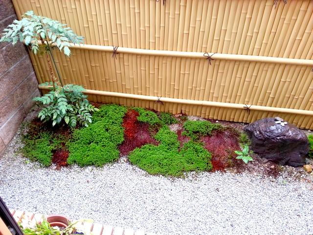 Garden. To feast for the eyes ・  ・  ・ Taste some Showa garden. 