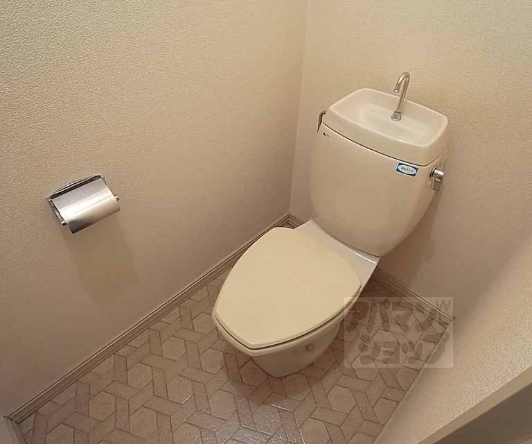 Toilet. It is your toilet.