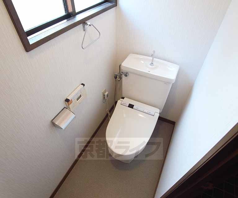 Toilet. Clean up in a bright toilet