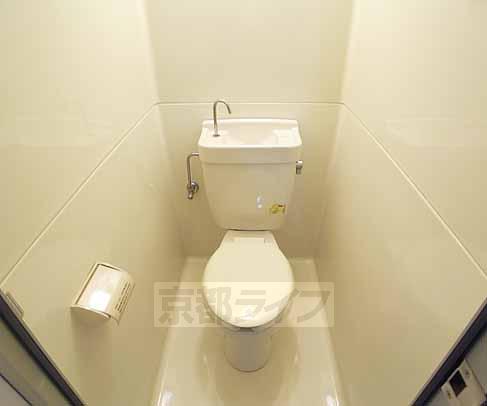 Toilet. Beautiful toilet.