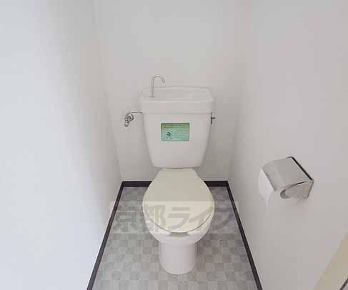 Toilet. Beautiful toilet.