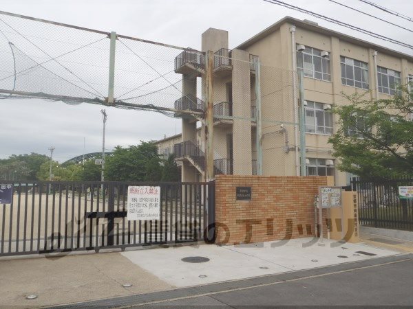 Primary school. Mukojima to South Elementary School (Elementary School) 670m