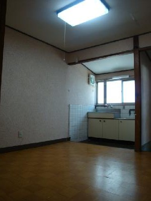 Living and room. Kitchen part