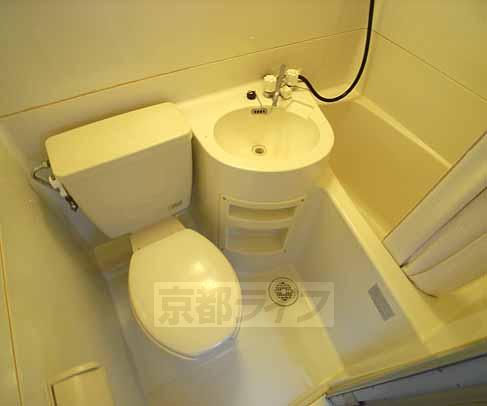 Bath. It comes with a shower curtain