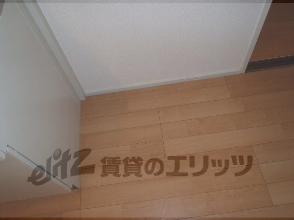 Other room space. Refrigerator yard