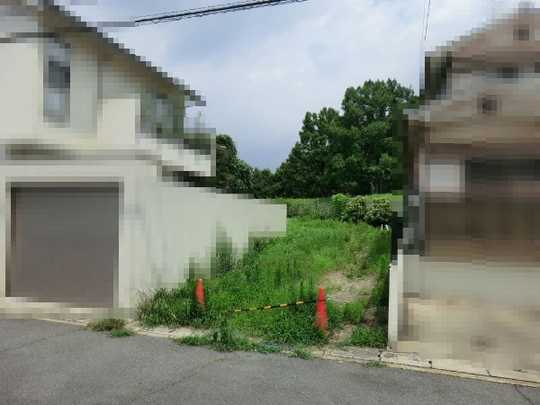 Local land photo. appearance