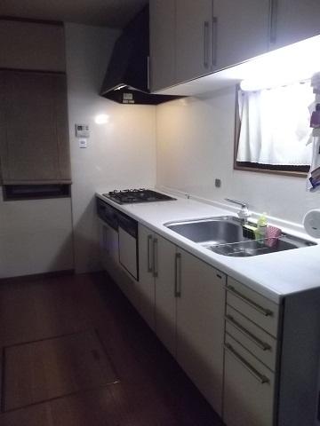 Kitchen. Indoor (11 May 2013) Shooting