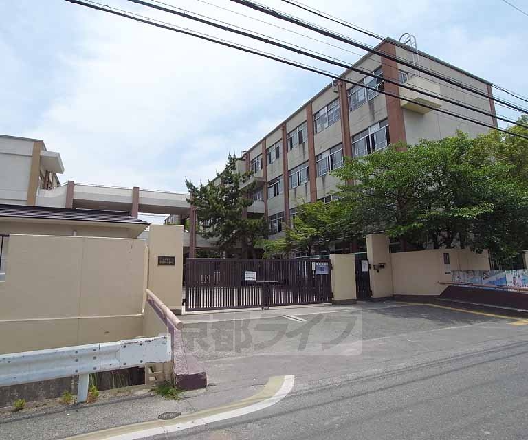 Junior high school. Kamikawa 800m until junior high school (junior high school)