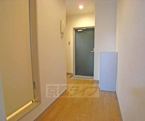 Living and room. Indoor corridor part.