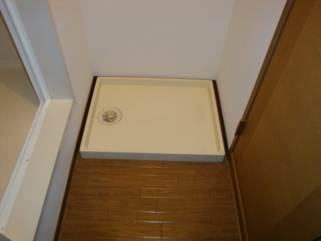 Other room space. Washing machine in the room